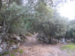 IMG_1479.JPG