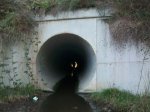 100_4740.JPG