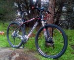 Focus_BlackForest_29.3.jpg