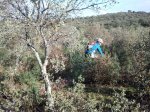 2012-11-18 10.46.16_800x600.jpg