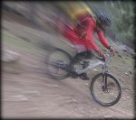IMG_2061.JPG