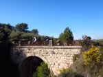IMG_2081beneixama.JPG