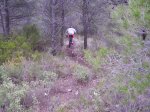 P4060035_resize.JPG