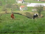 06.jpg