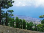 el hierro cucho. 17.jpg