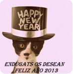 cat-newyear_zpsd2d01707.jpg