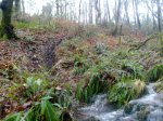 IMG-20121230-WA0001.jpg