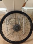 IMG_0278.jpeg