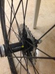IMG_0281.jpeg