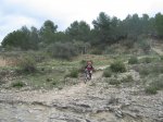 IMG_6230.jpg