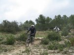 IMG_6236.jpg