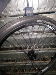 2013-01-14 12.14.37.jpg