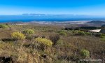 IMG_6478.jpg