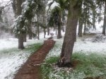 20130120_120819.jpg