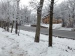 20130120_123250.jpg