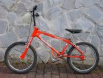 1981-Montesa-T-15-Roman-Samaniego-Joan-500x382.jpg
