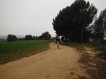 XDSCF8022_1024x768.jpg