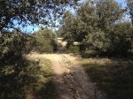 IMG_1387.jpg