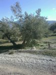 IMG-20130203-WA0046.jpg