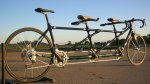calfeetriple620x349.jpg