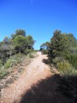 DSCN1240.JPG