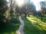 Sendero2.jpg