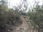 foto12.jpg