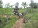 IMG_6385.jpg