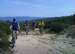 DSC00222.JPG