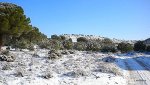 DSCN4539.JPG