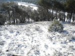 DSCN4571.JPG