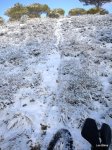 DSCN4572.JPG