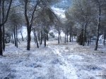 DSCN4573.JPG