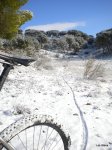 DSCN4574.JPG