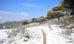 DSCN4577.JPG