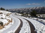 IMG_0012.jpg