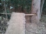 2013-03-07 11.28.57.jpg