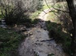 IMG_1597.jpg