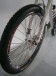 rueda 5.jpg