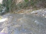 IMG-20130309-WA0009.jpg