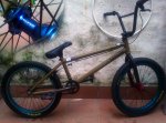 bmxxx.jpg