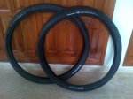 IMG-20130313-00338.jpg