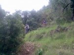 Imagen004 (Small).jpg