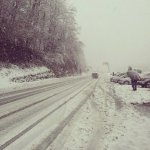 487647_10151476881733686_166366785_n.jpg