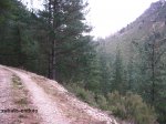 IMG_4345 (Copiar).JPG
