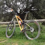 niner 007_1024x1024.jpg