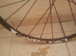 2013-03-25 12.23.14.jpg