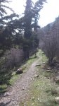DSC_0021-1.jpg
