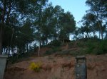 DSCN2744.JPG