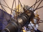 DSC01133.JPG